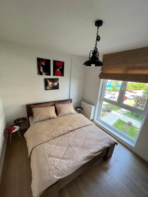 Apartament Spatios Zona Buna Apartment *